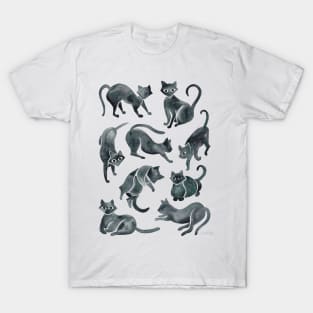 Black Cat Positions T-Shirt